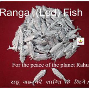 Ranga Led Fish