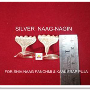 Silver Naag Nagin