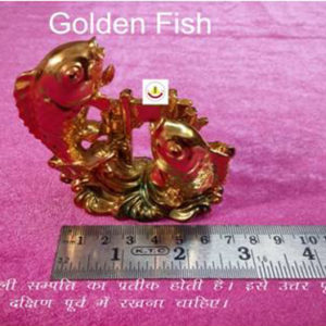 golden fish