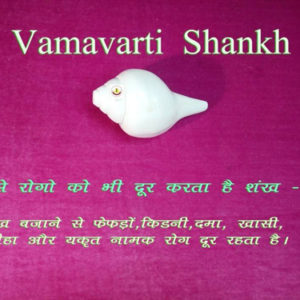 Vamavarti Shankh