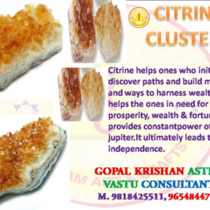 Citrin Cluster