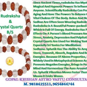 Crystal with Rudraksh